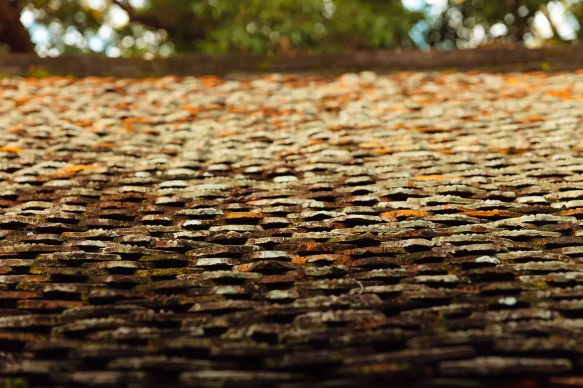 Aging shingle roof with moss growth and granule loss in Garland, TX
